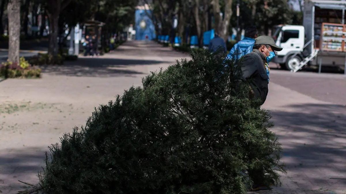 árboles de navidad